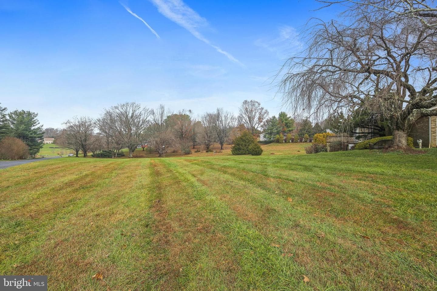 7206 Patton Drive photo 28