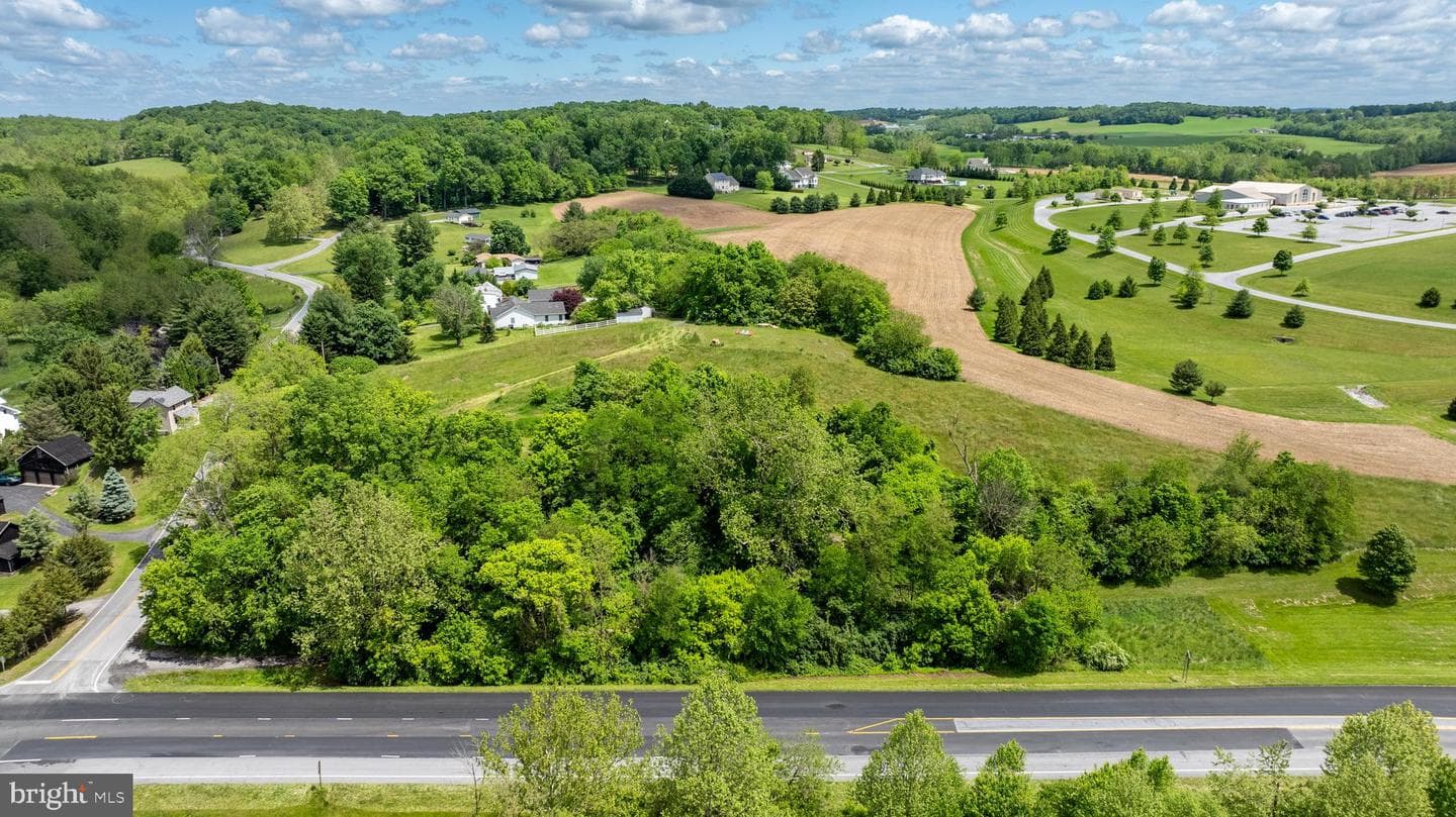 Stem Road photo 58