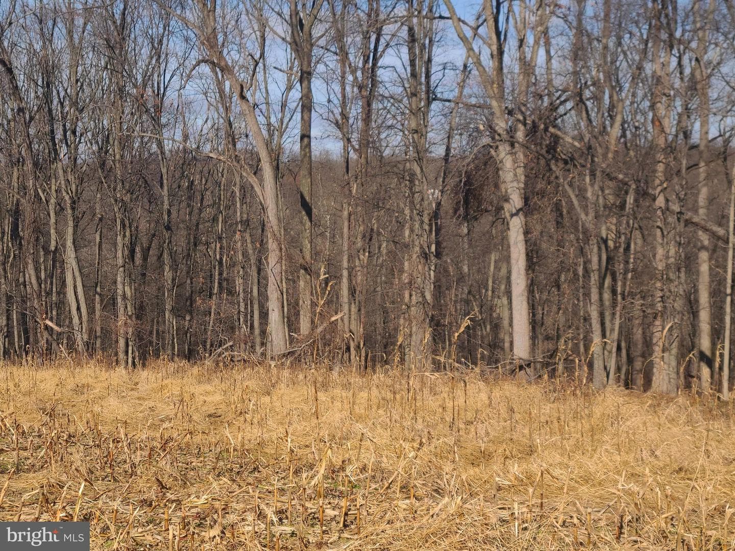 2800 Sykesville Road photo 24