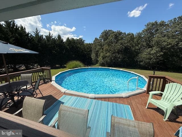 4710 Gold Finch Drive photo 83