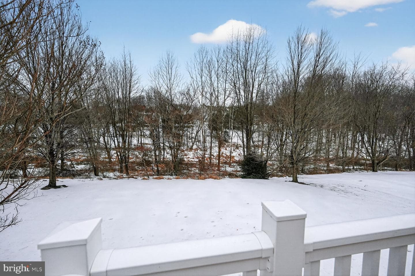6117 Ash Grove Court photo 48