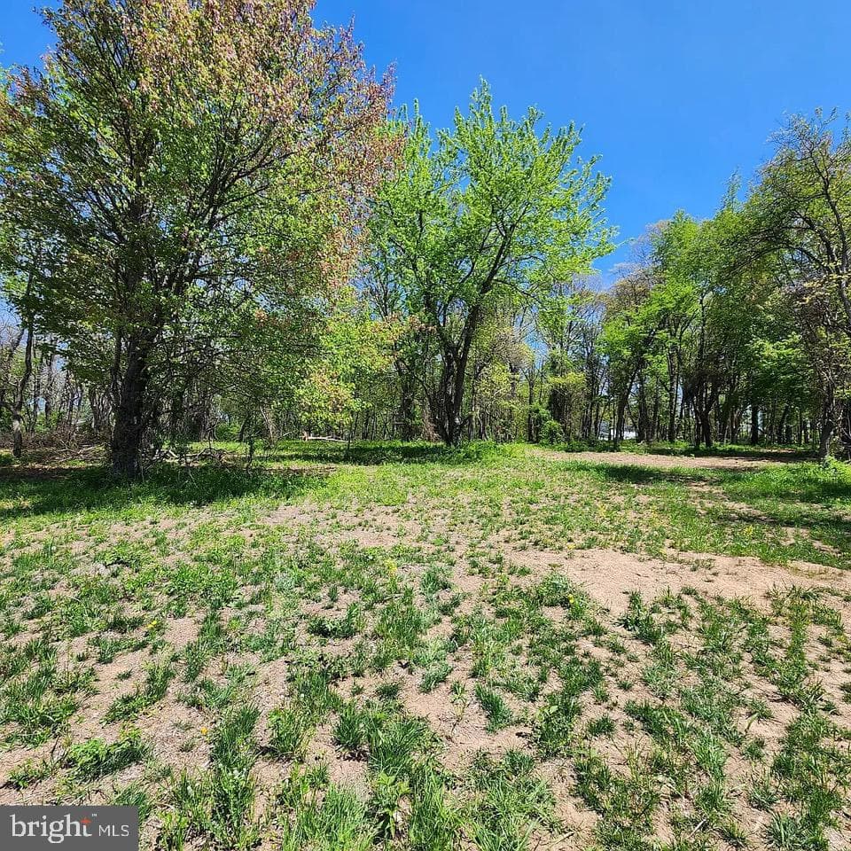 Lot 1 Snydersburg Road photo 14