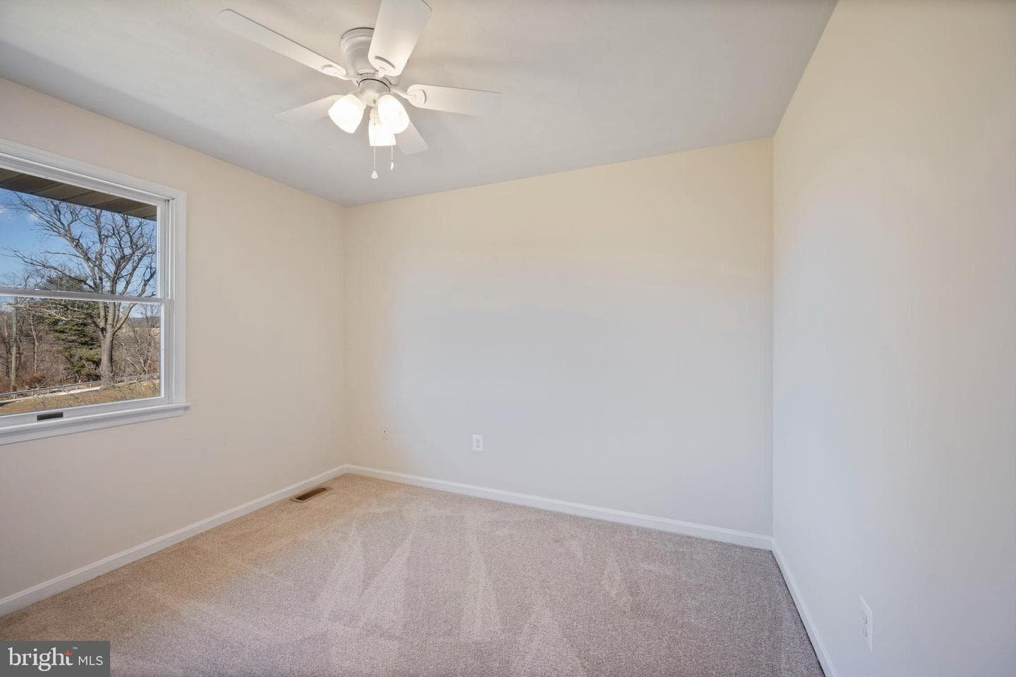 1485 Bachmans Valley Road photo 37