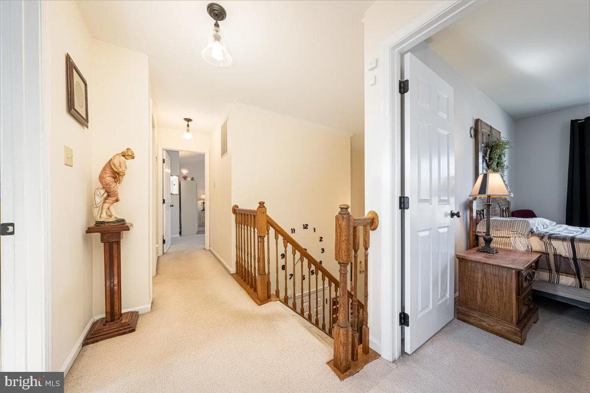43 Bancroft Street photo 29