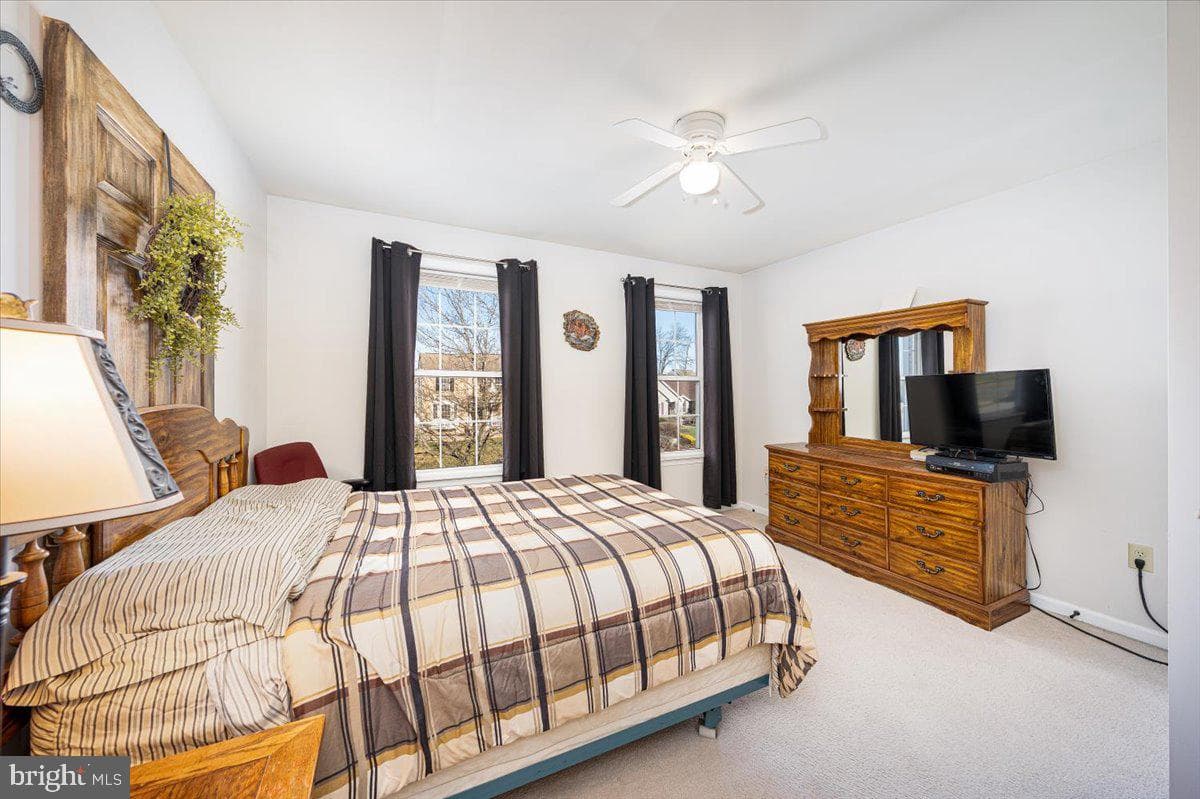 43 Bancroft Street photo 31
