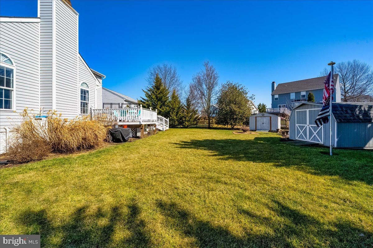 43 Bancroft Street photo 66