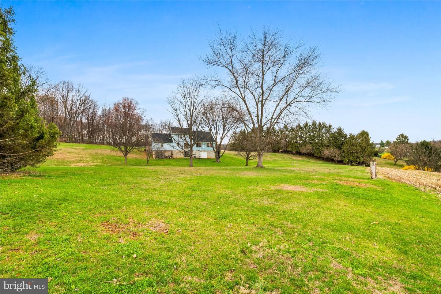 1603 Richardson Road photo 41