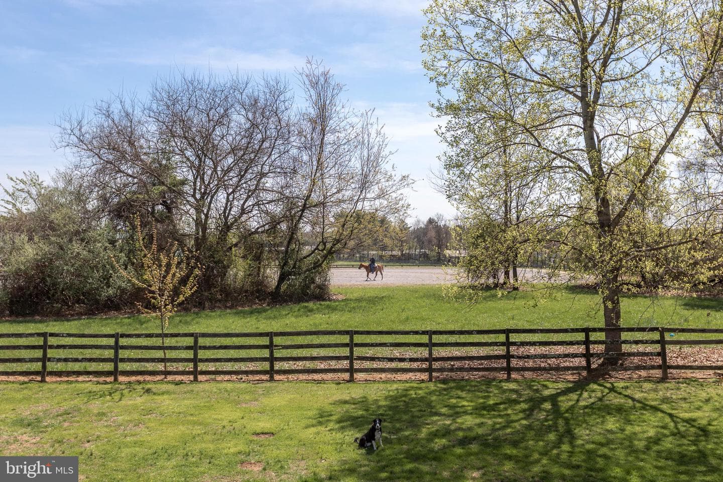 7307 Morgan Road photo 78