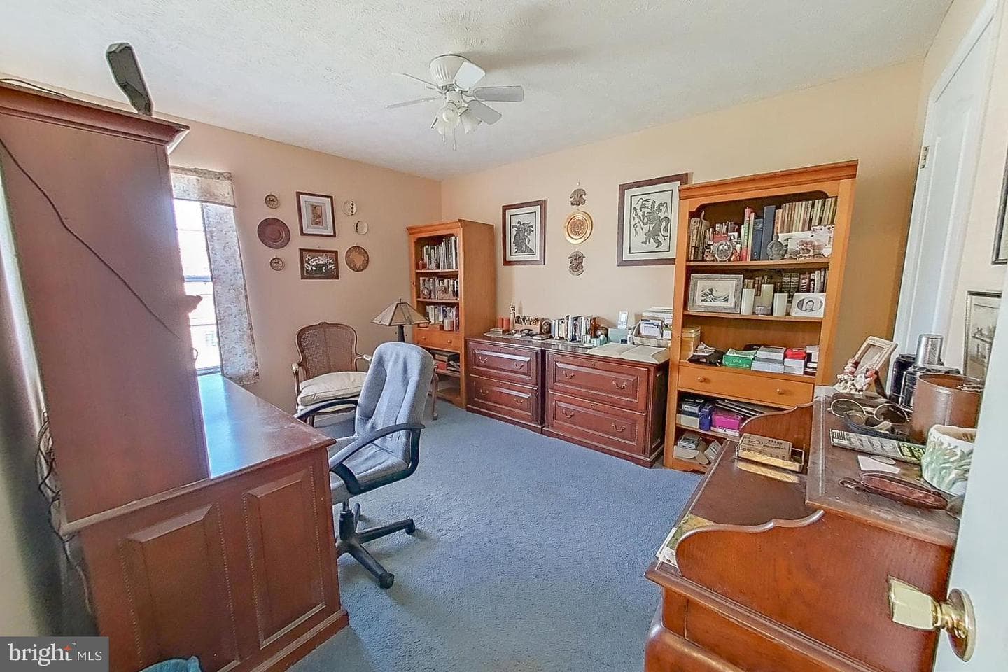 1 Bancroft Street photo 19