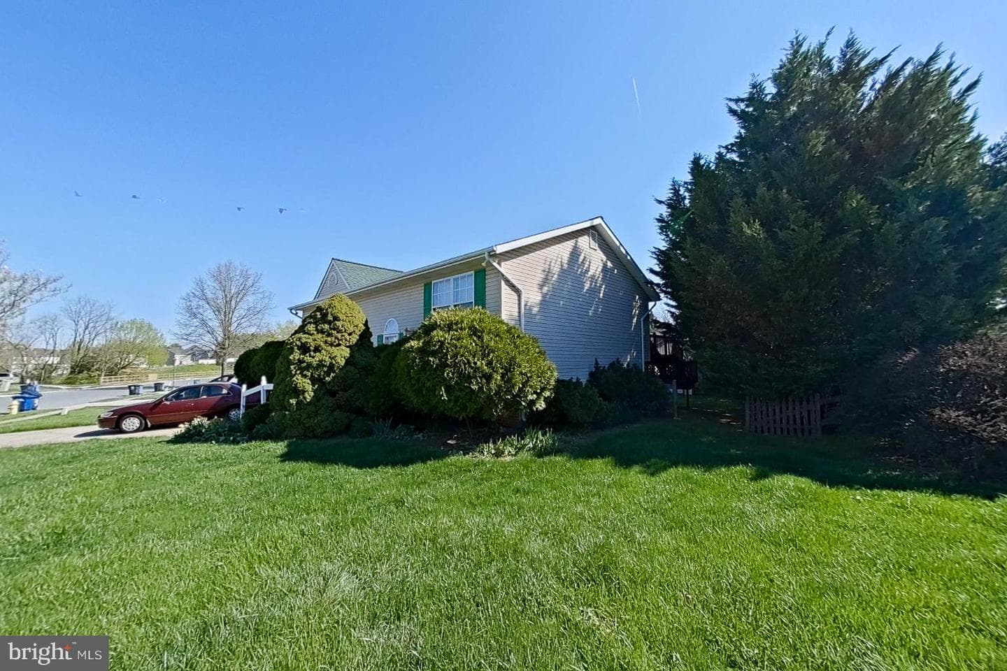 1 Bancroft Street photo 4