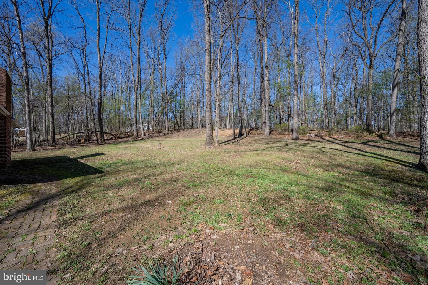 932 Western Chapel Road photo 42