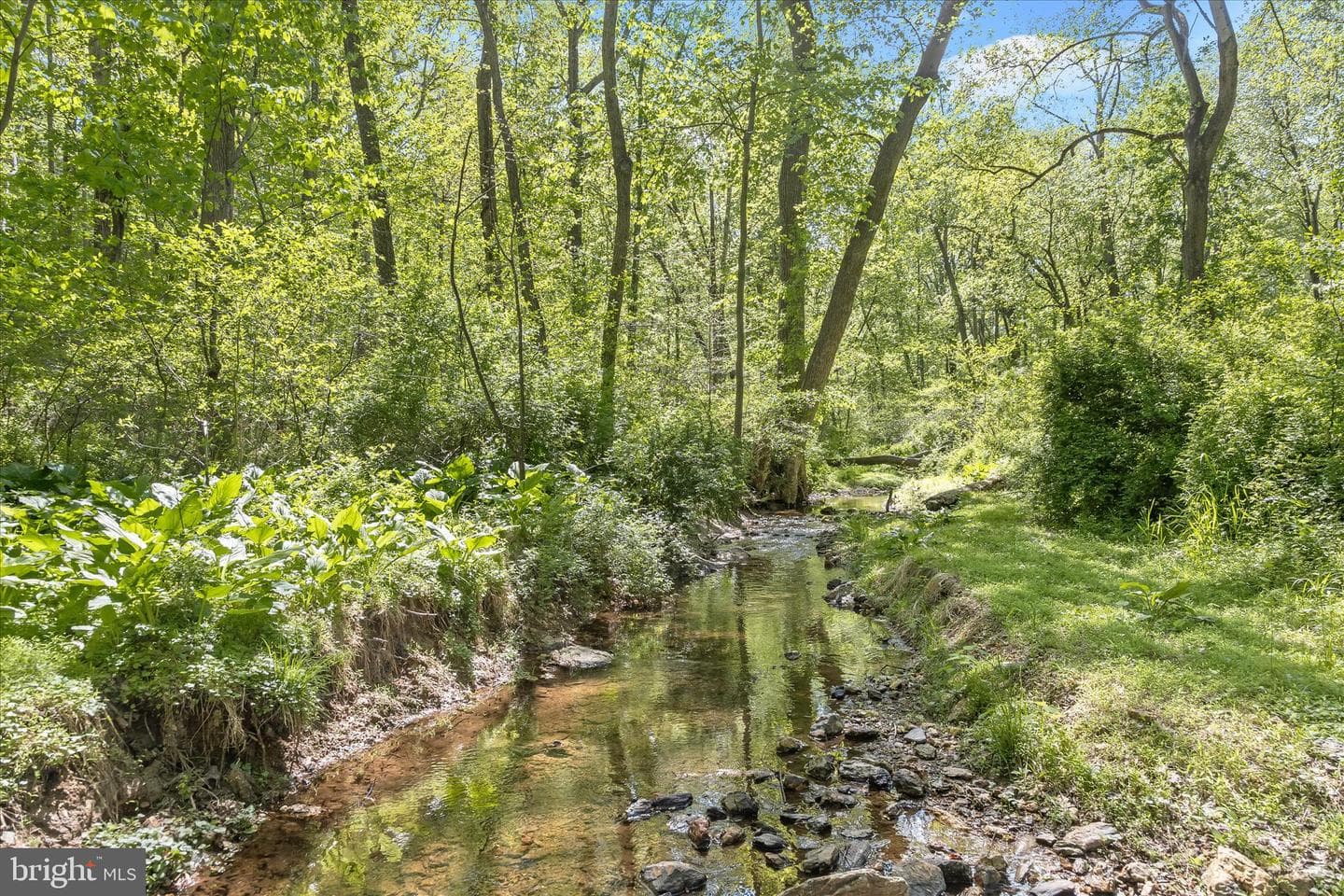 927 Buckhorn Road photo 126