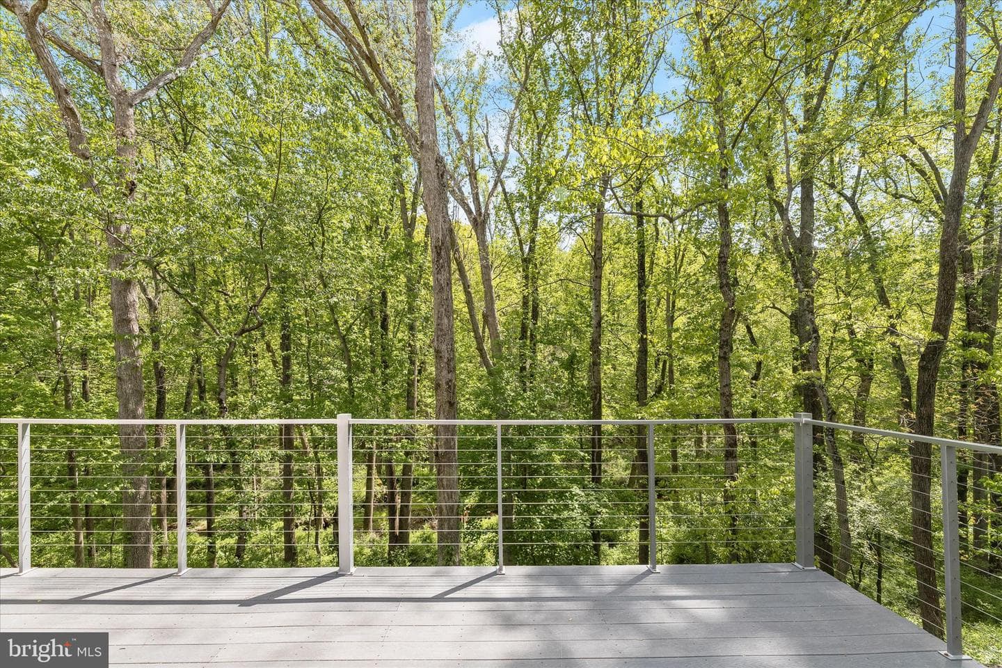 927 Buckhorn Road photo 68