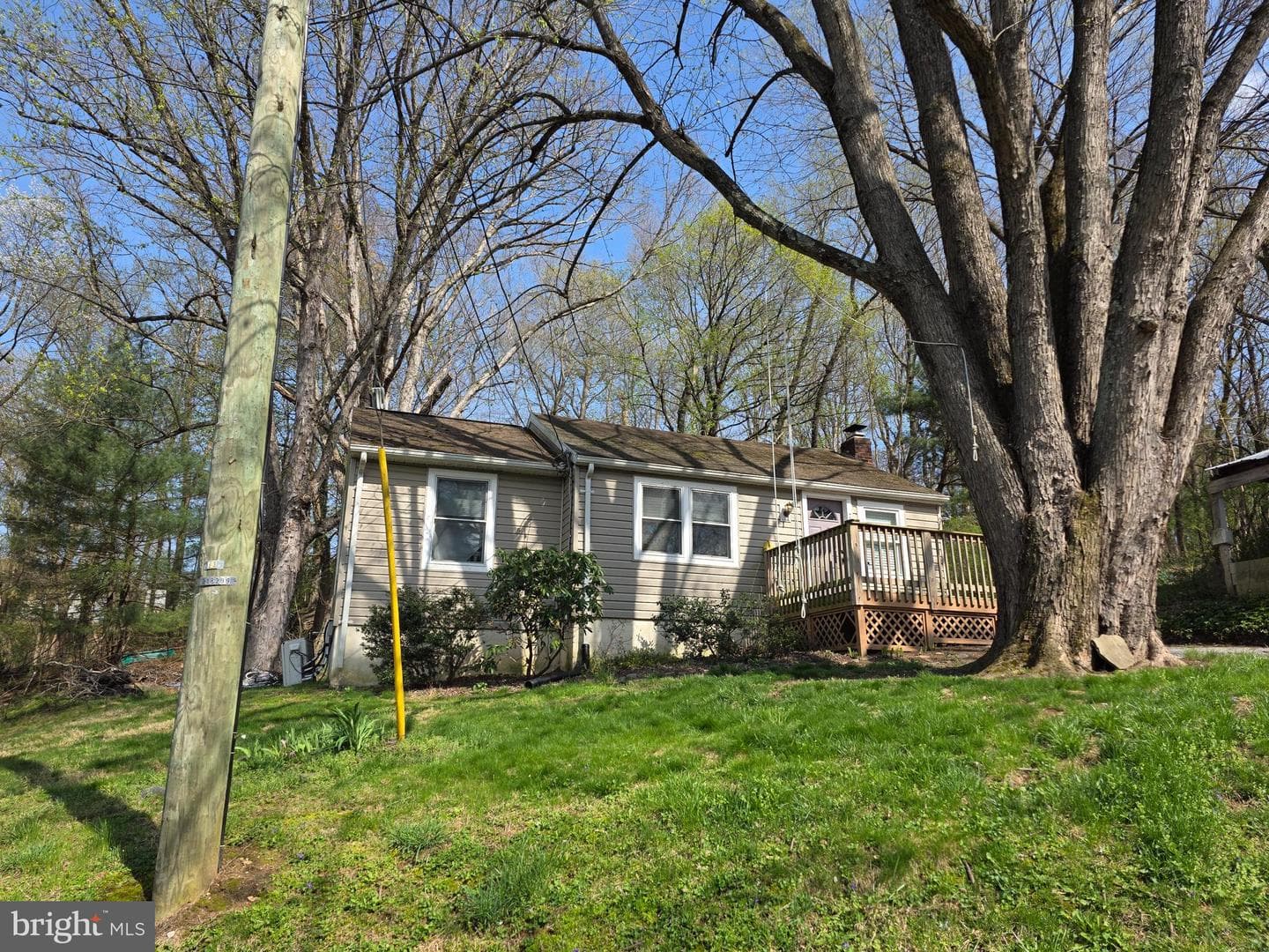718 Wilson Avenue photo 2