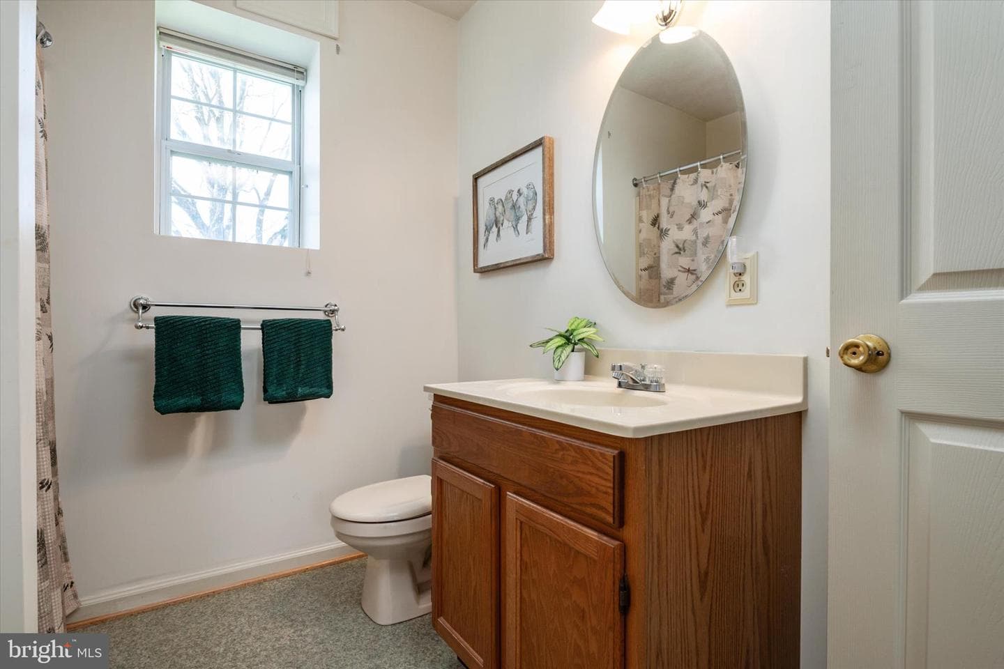 1198 N Carroll Street photo 26