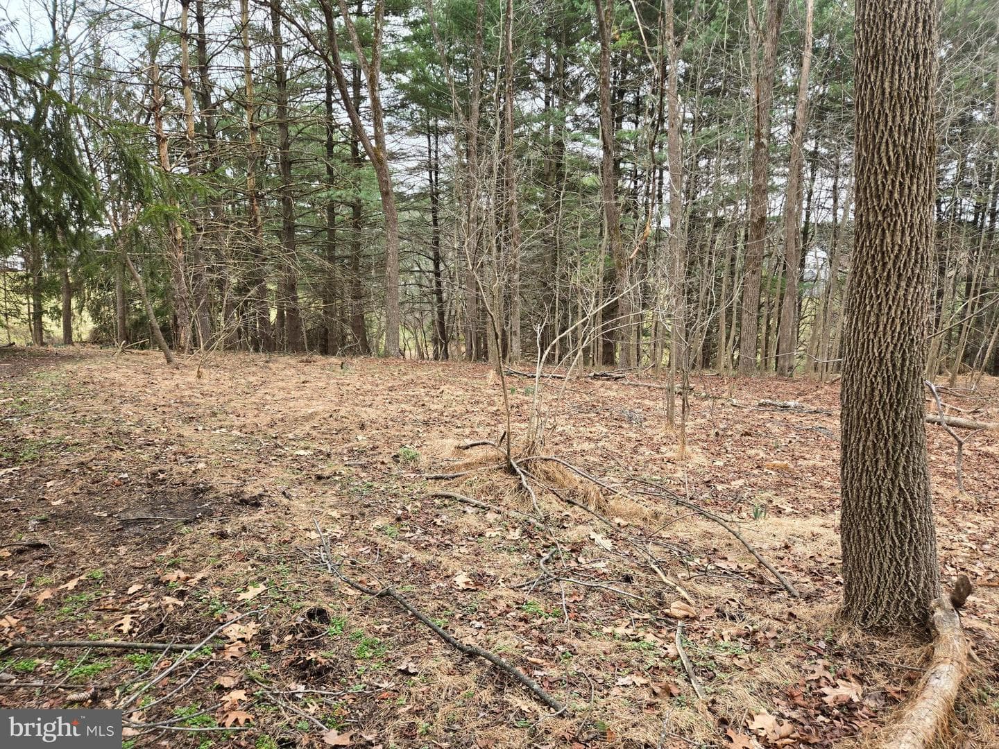 Farmington photo 21