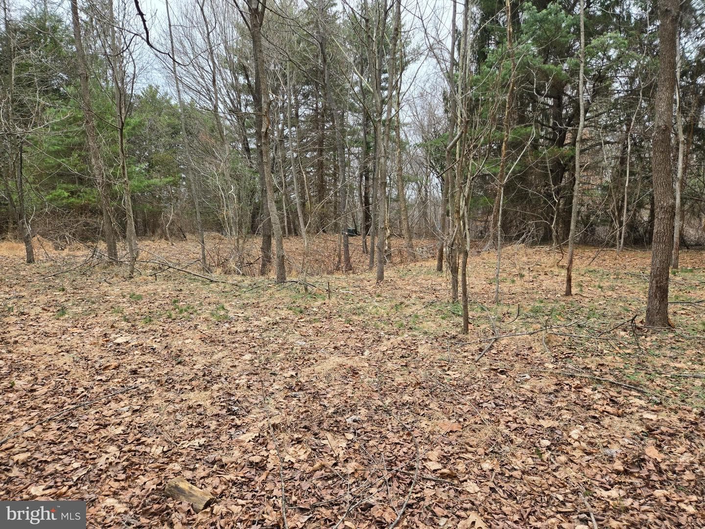 Farmington photo 23