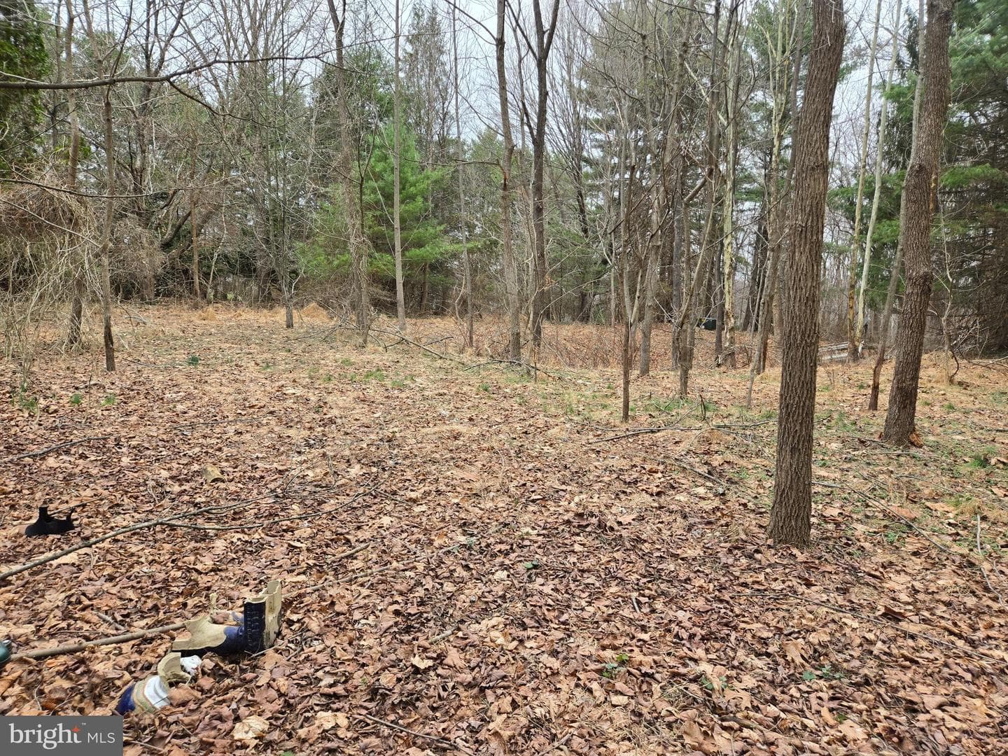 Farmington photo 25