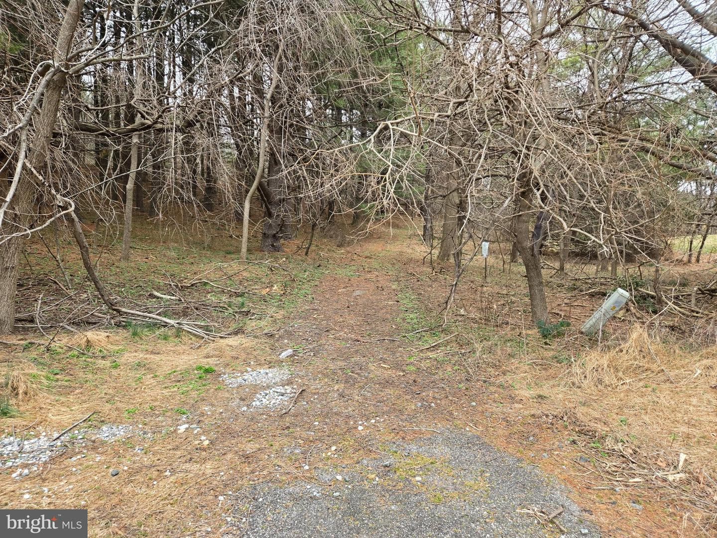 Farmington photo 28