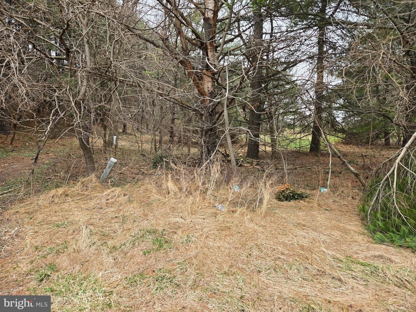 Farmington photo 30