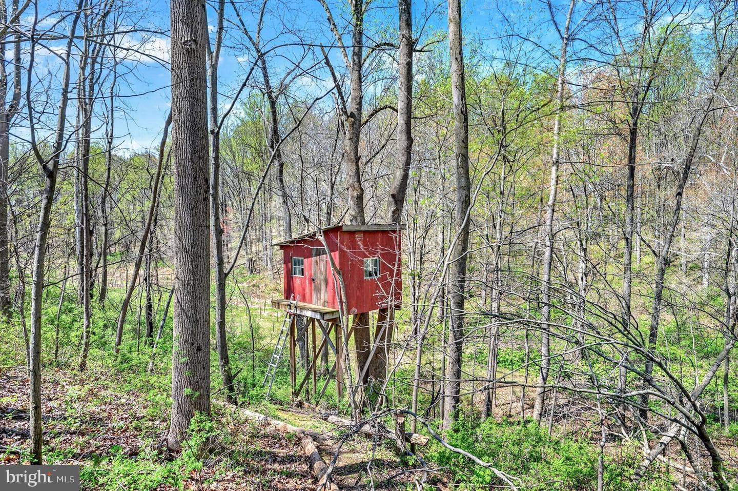 3200 Ferrier Road photo 61