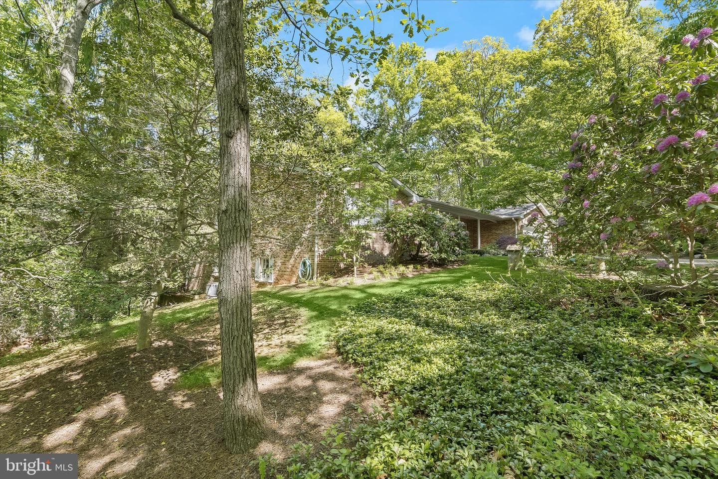 3391 Salem Bottom Road photo 63