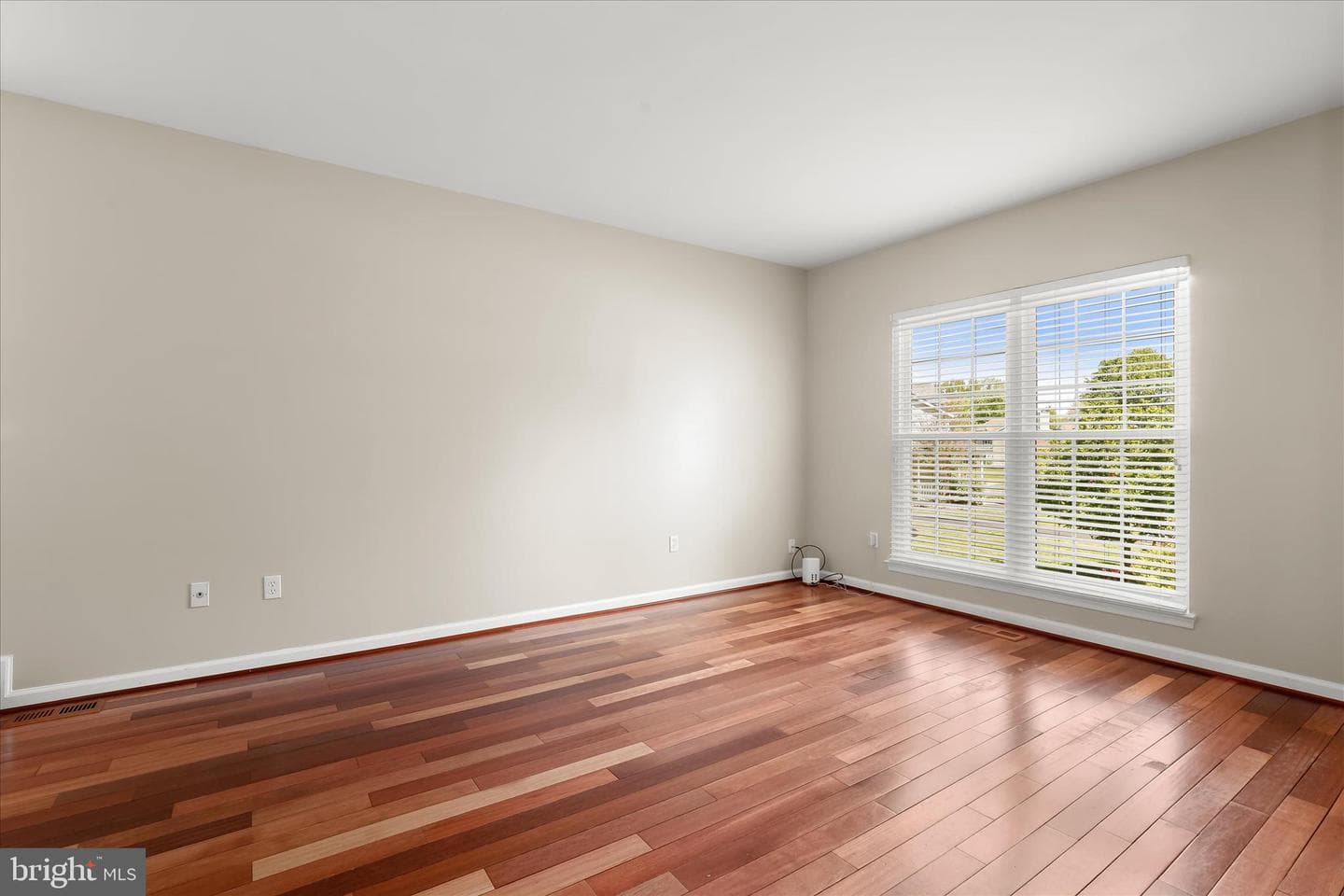 6312 White Cedar Court photo 13
