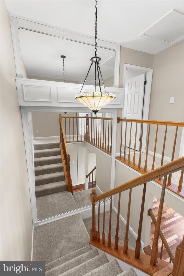 6312 White Cedar Court photo 47