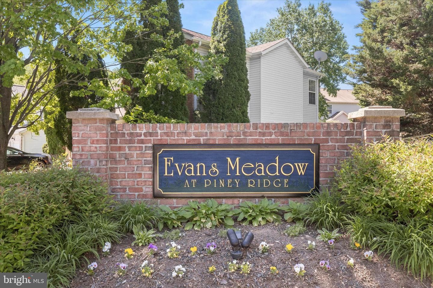 6312 White Cedar Court photo 60