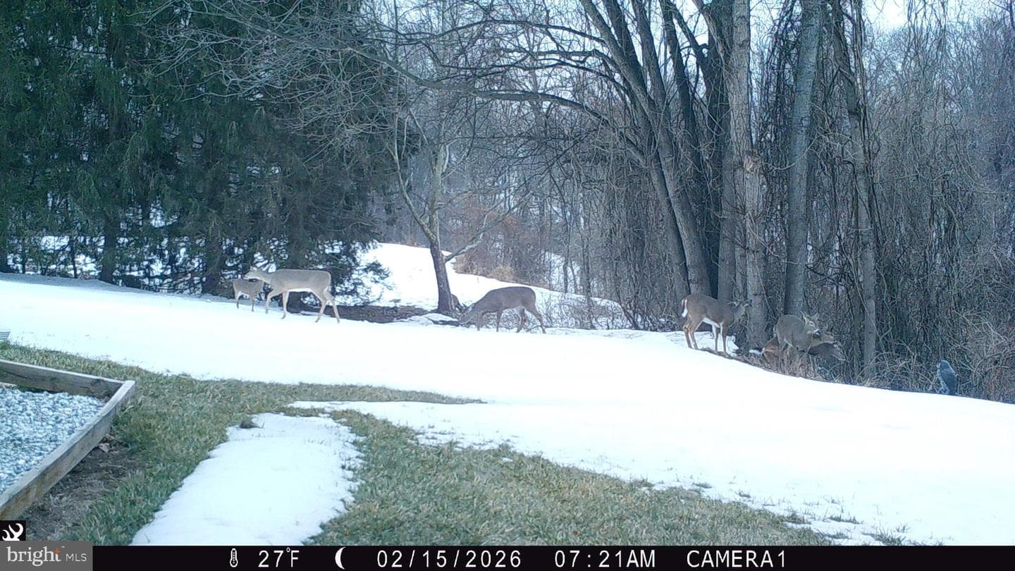 1411 Copper Beech Court photo 56