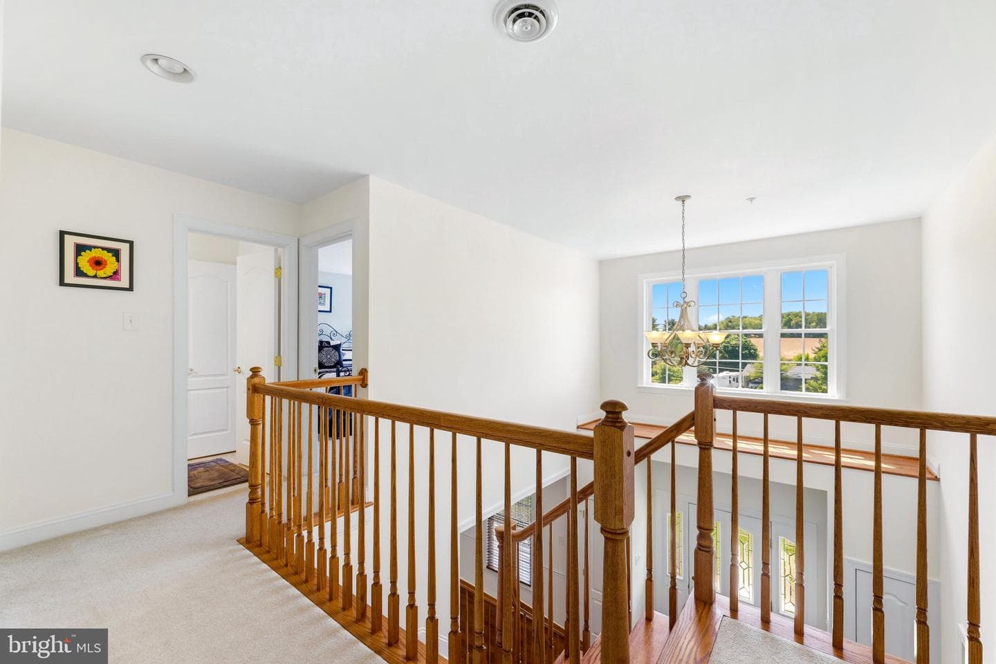 425 Chinquapin Drive photo 46
