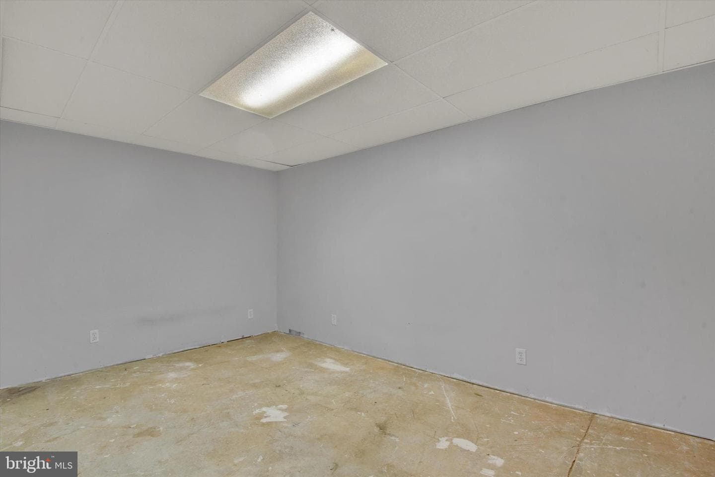 11 Bancroft Street photo 23