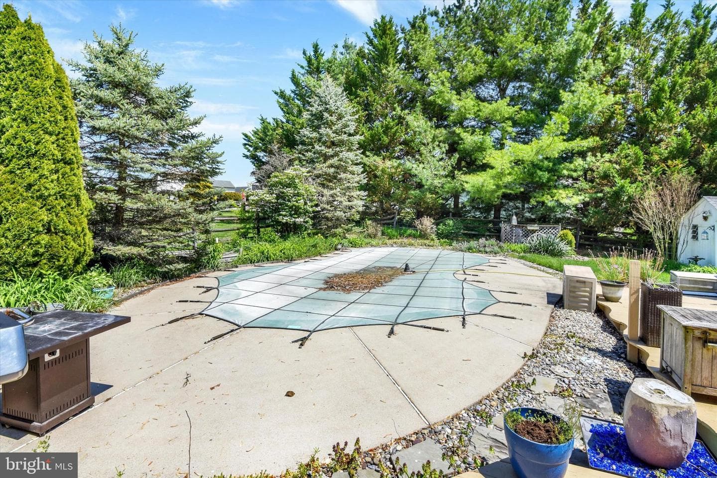11 Bancroft Street photo 28