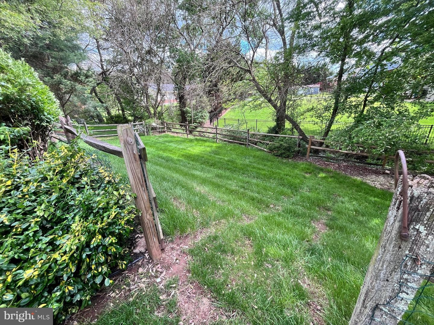 11 Bancroft Street photo 37