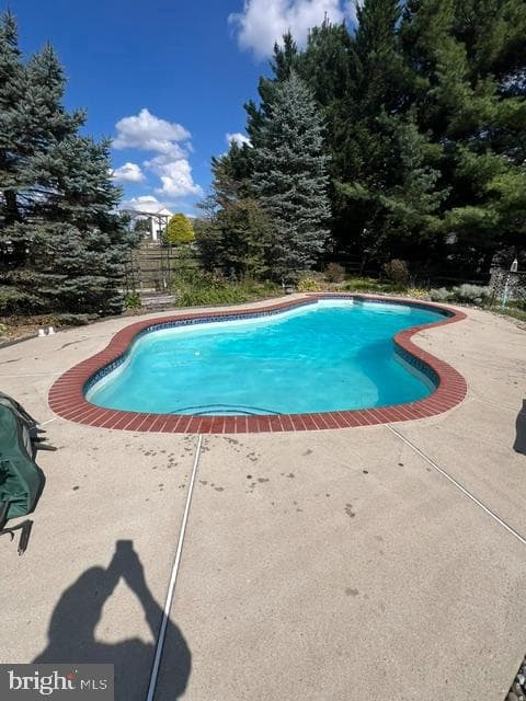11 Bancroft Street photo 46