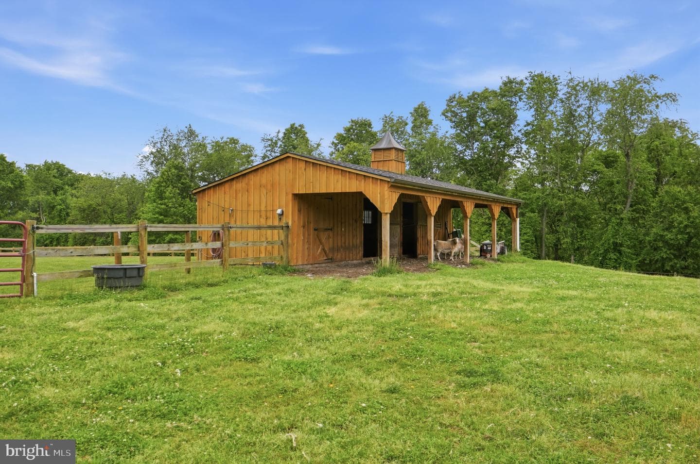 330 Brookfield Drive photo 42