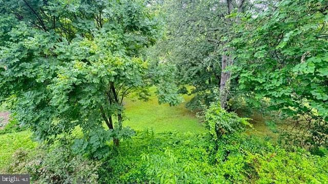 1740 Fairmount Road photo 85