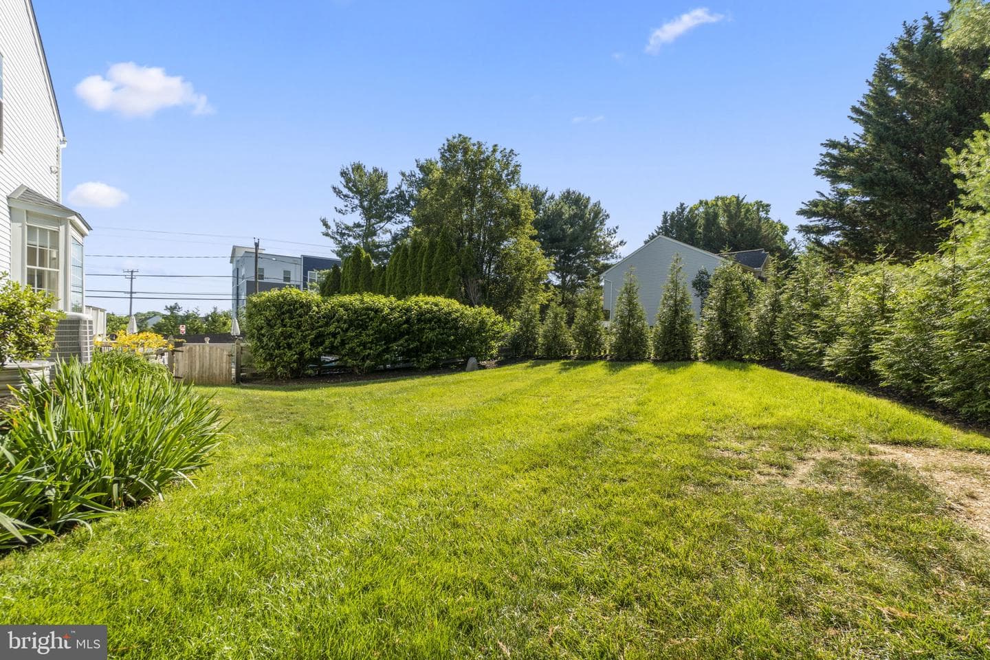 544 Yellow Lily Court photo 47