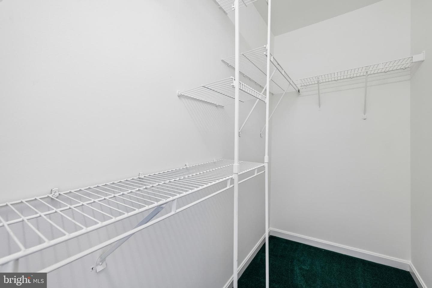 902 Clauser Court photo 65