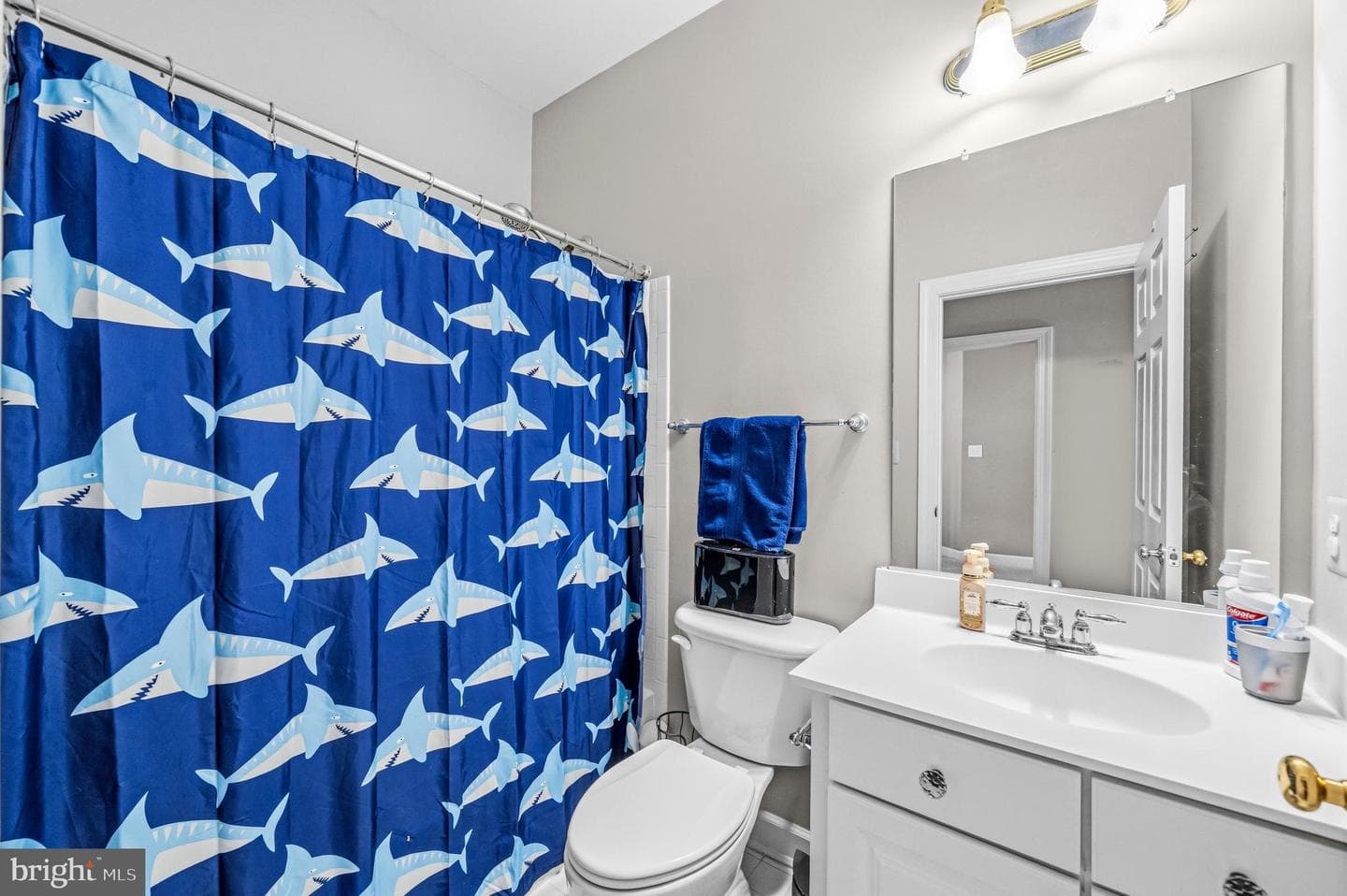 4512 Sun Berry Drive photo 48