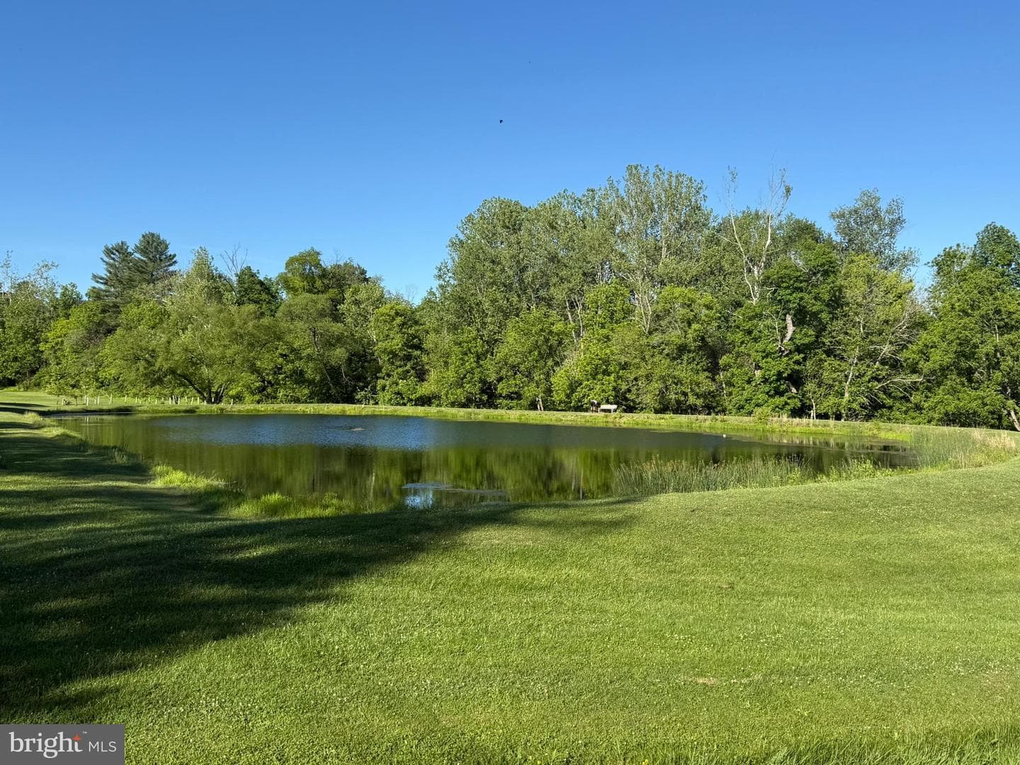 1023 Cherrytown Road photo 35