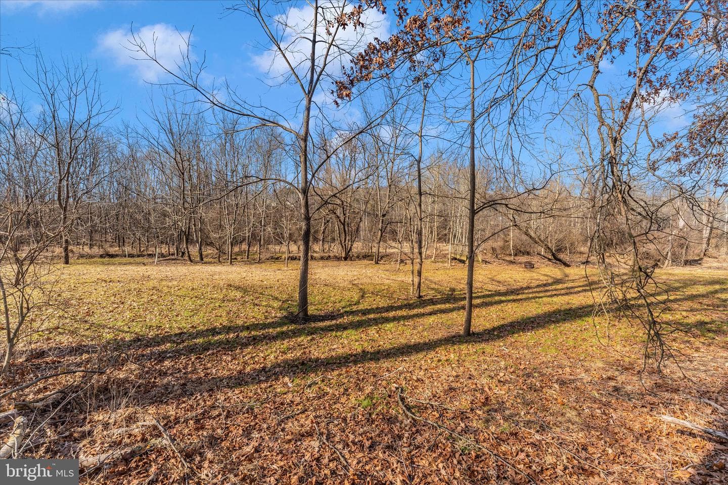 2034 Fridinger Mill Rd photo 37