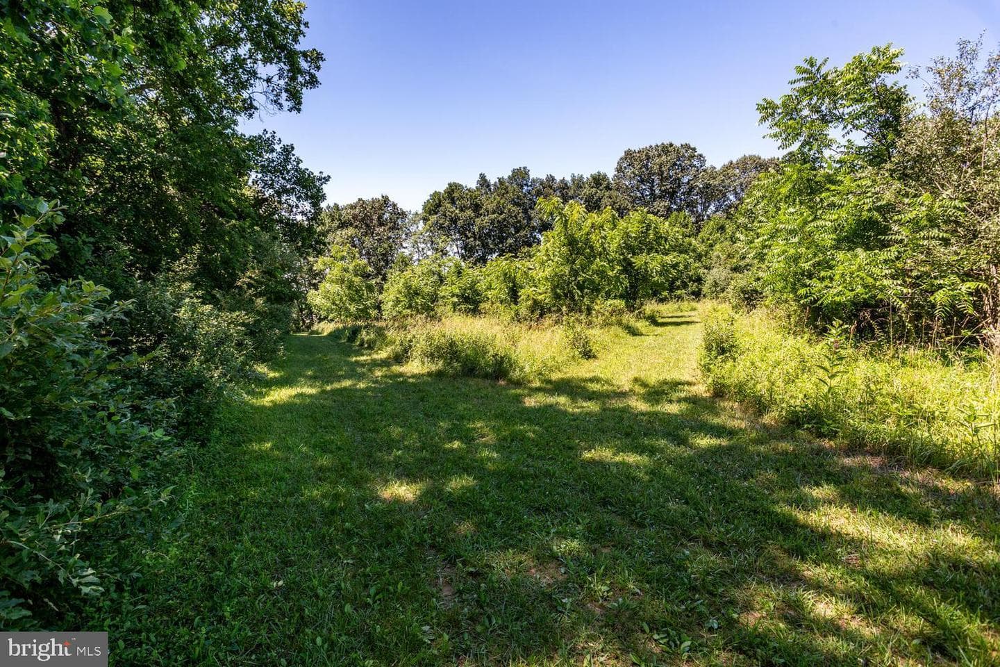 4180 John Benjamin Drive photo 115