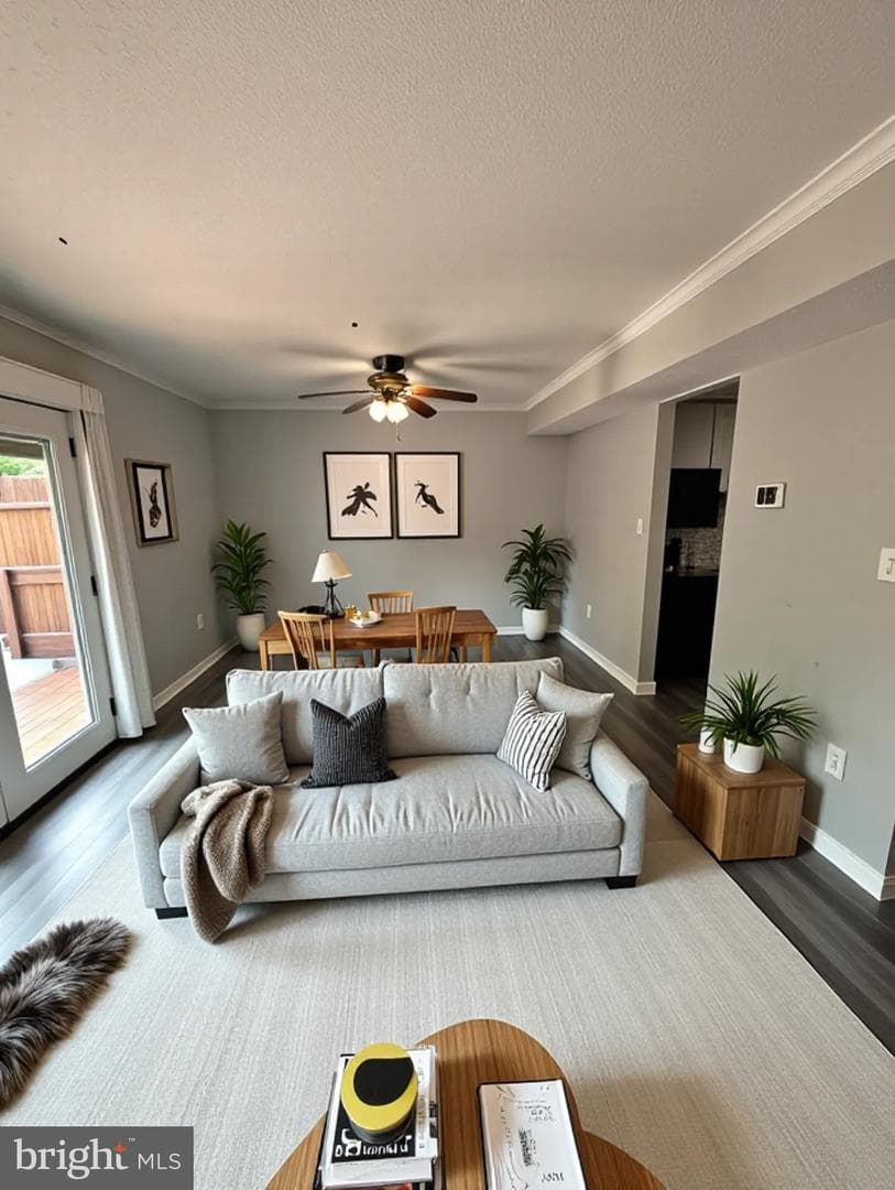 679 Johahn Drive photo 4