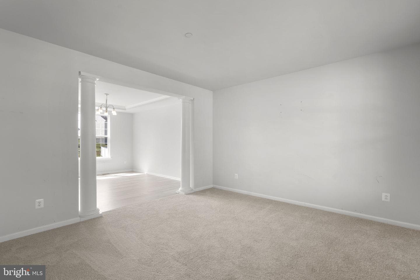 103 Wildflower Street photo 6