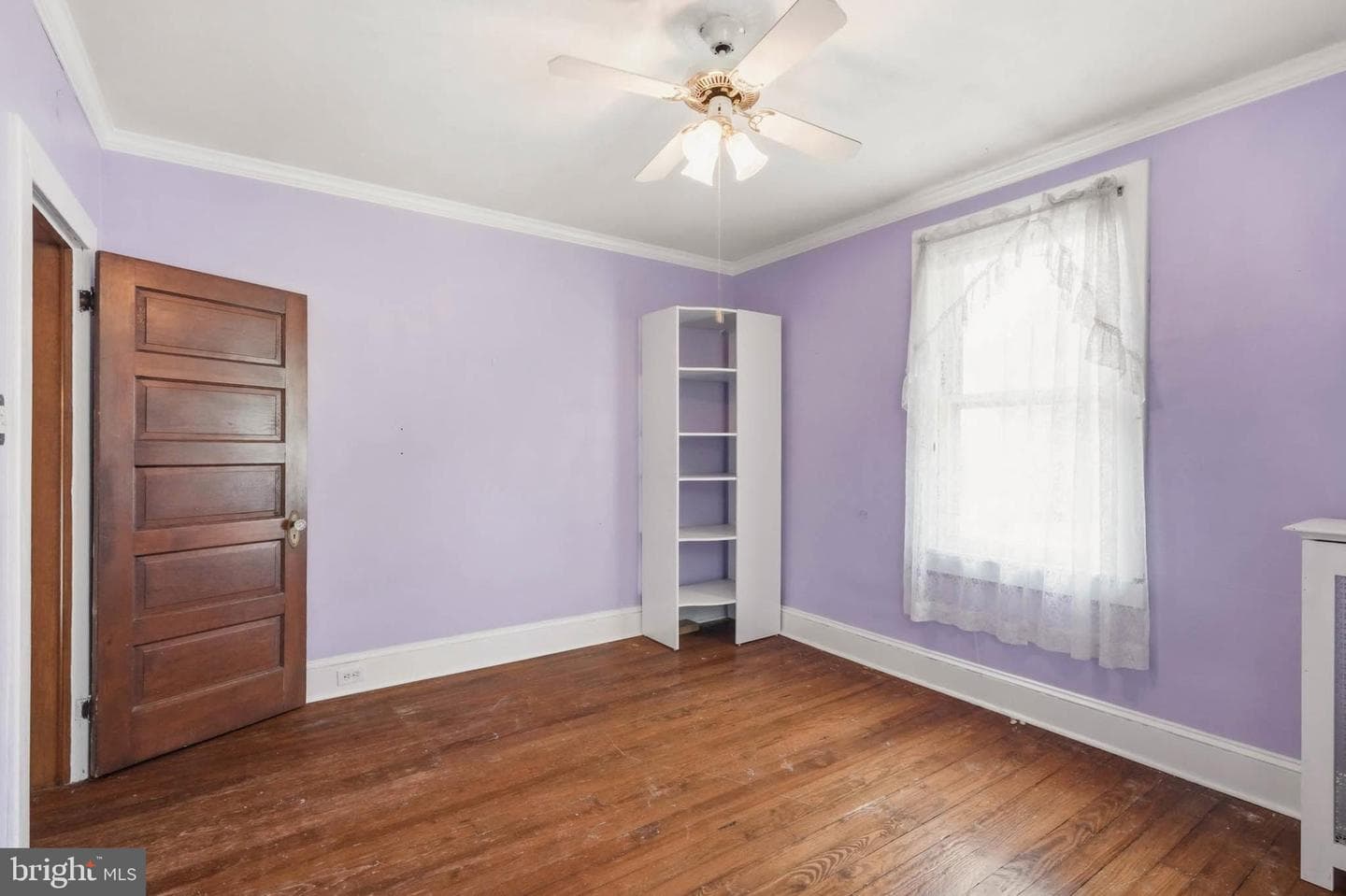 7349 Springfield Avenue photo 23