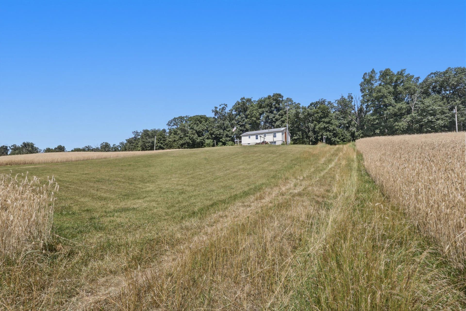 2519 & 2511 Robert Arthur Road photo 42