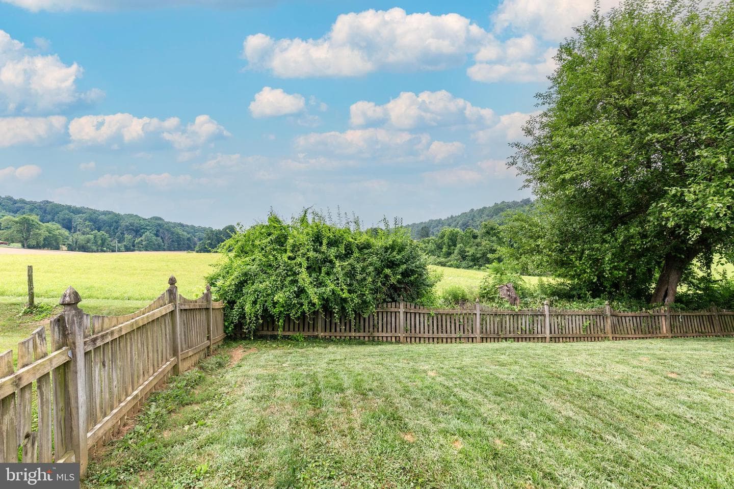 2951 Abbey Drive photo 45