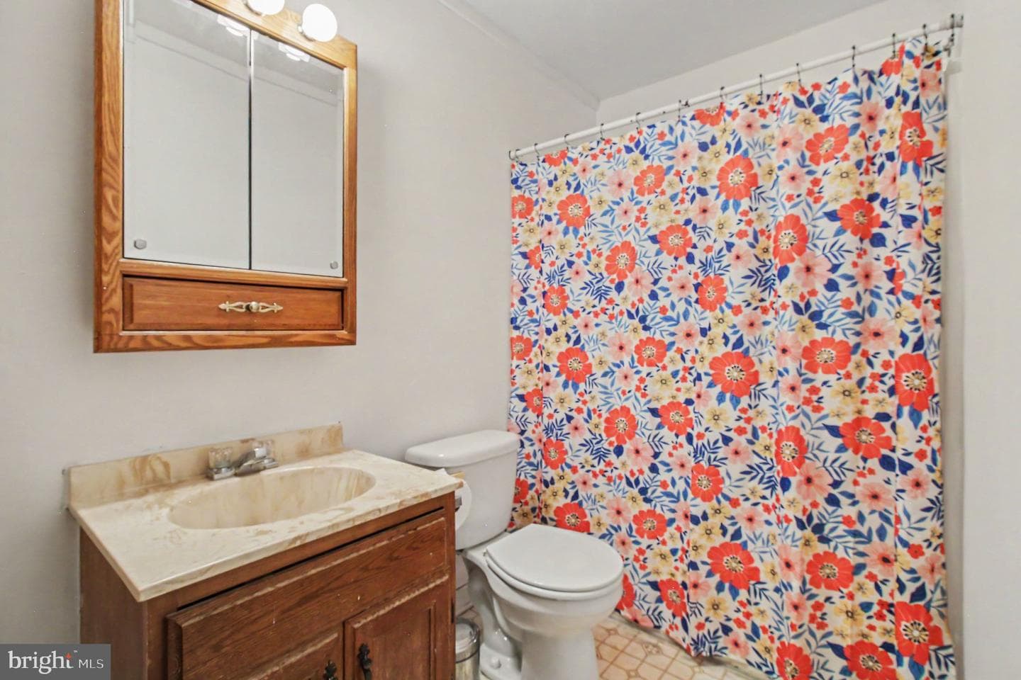 2564 Mindi Drive photo 7