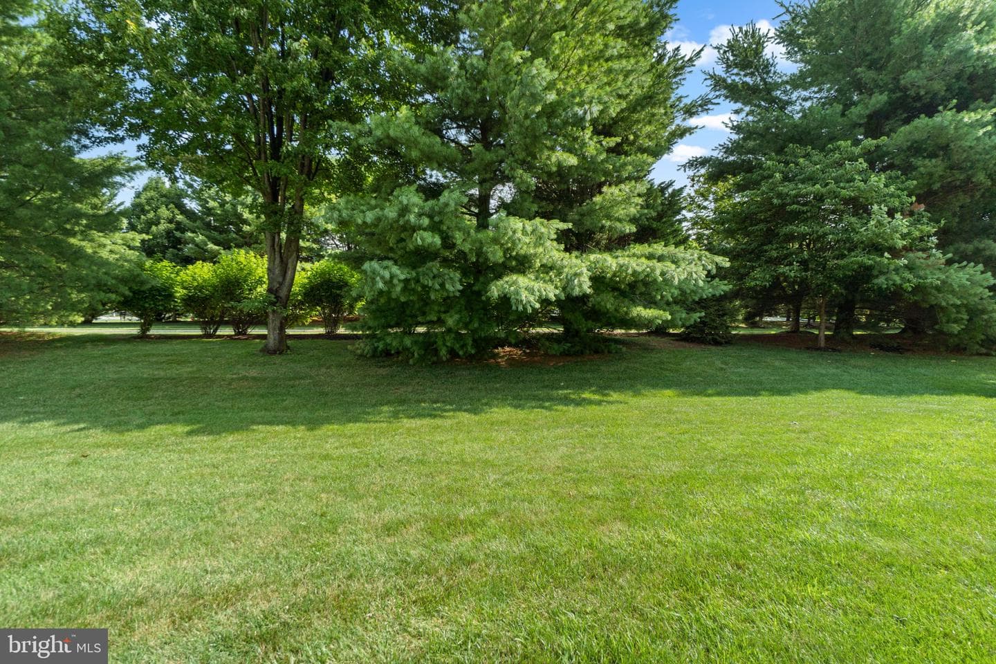 755 Rustling Leaf Court photo 49